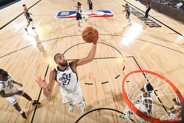 数后来者树 数后来者树